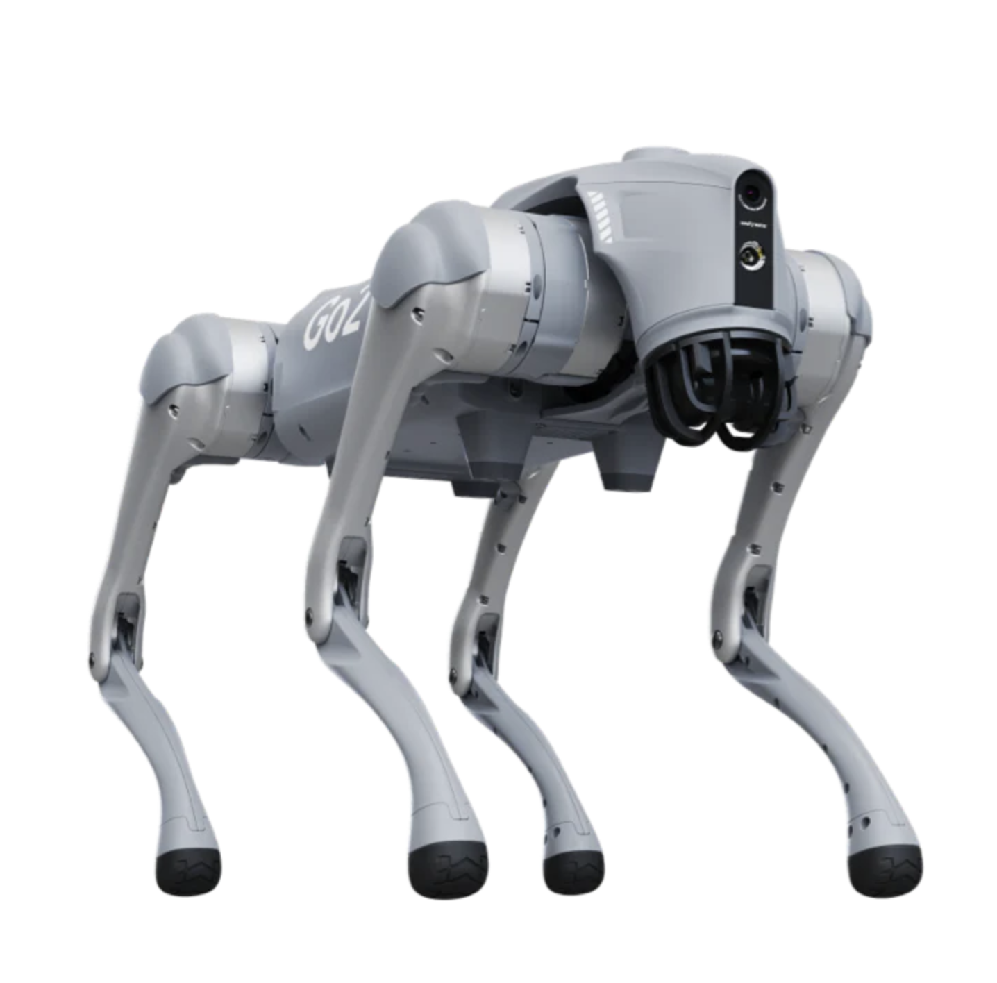 Robodog in Action Pose